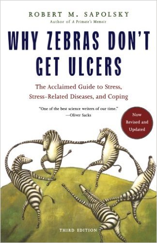 Why Zebras Don’t Get Ulcers – The Physical Impact of Stress