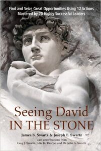 Seeing David in the Stone