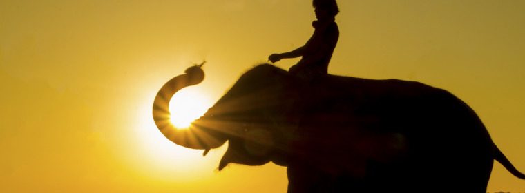 ilhouette Elephant Sunset. Mahout riding an elephant on the sunset. Elephant village in the north east of Thailand, beautiful relation between man and elephant. Life Shadow