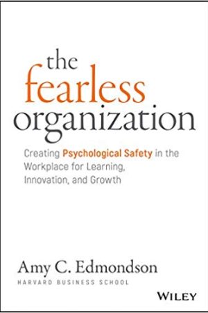 TheFearlessOrganization